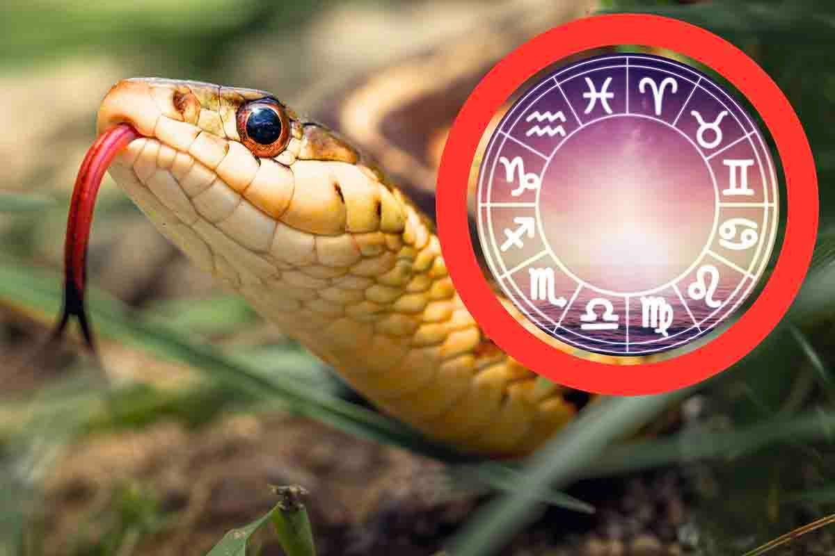 Oroscopo serpenti: cosa rivela
